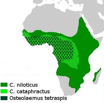 Where the Crocodiles are located in Africa.