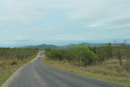 A view down the road (in Africa).