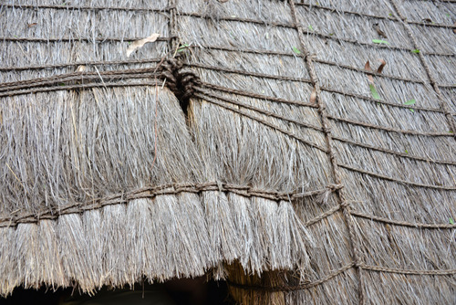 Thatching Details.
