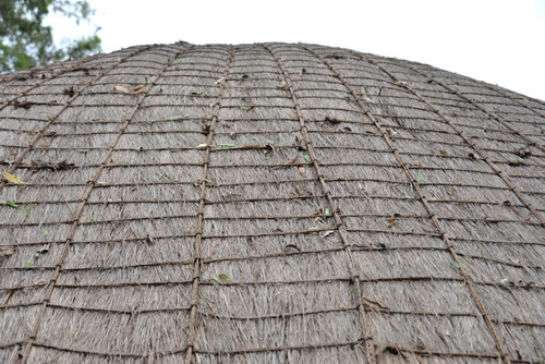 Thatching Details.