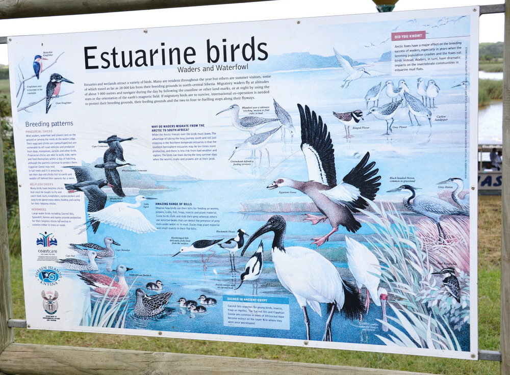 St Lucia Estuary (Estuarine) Bird Information.