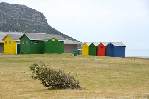 'Changing Rooms' and 'Summer Cottages'.