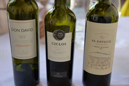 Three El Esteco Wine Products.
