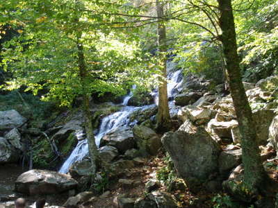 Dark Hollow Falls.