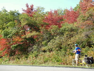 Tandem & Fall Leaves.