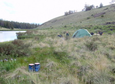Camp, just inside Gunnison National Forest.
