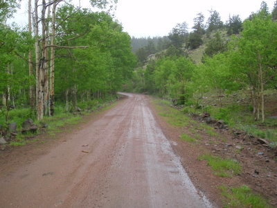 Wet Road