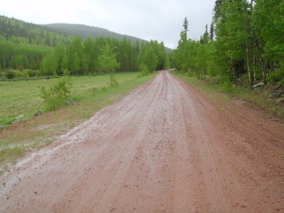 Wet Road