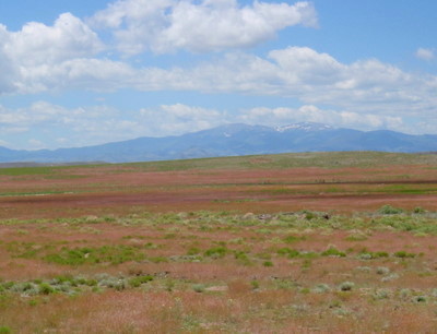 The San Juan Valley