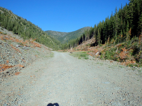 Whitefish Pass, MT (GDMBR, looking east, ~5,200', unmarked).