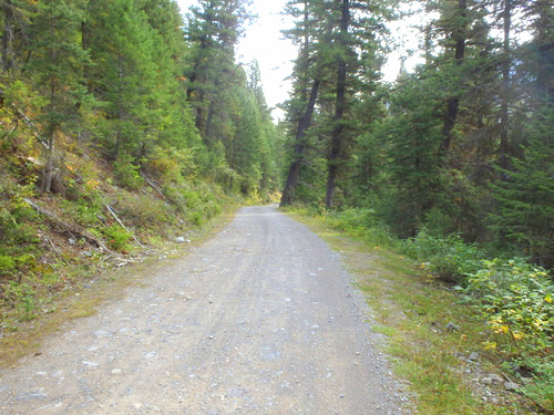 Similar terrain and vegetation of our bear sighting.