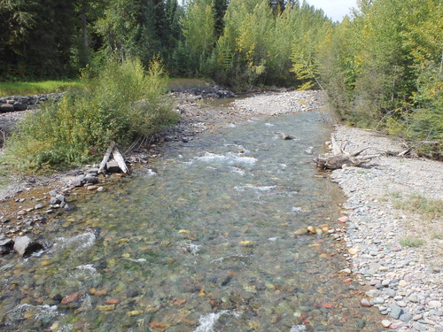 Moose Creek.