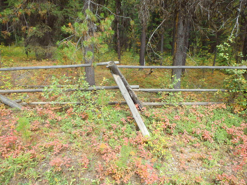 Fence Posts on the initial leg of NF 115 west bound (GDMBR, Montana).