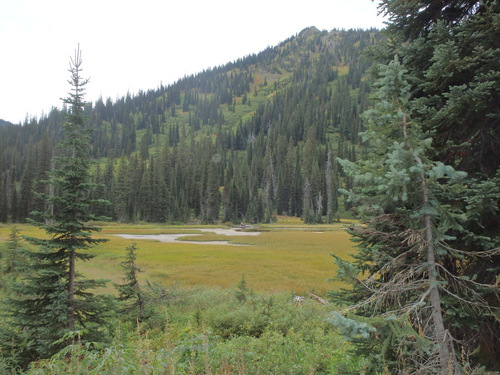 The mountain meadow of Red Meadow Lake Pass, MT, GDMBR.