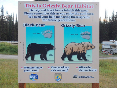 WARNING SIGN: TWO KINDS of Bears Here!