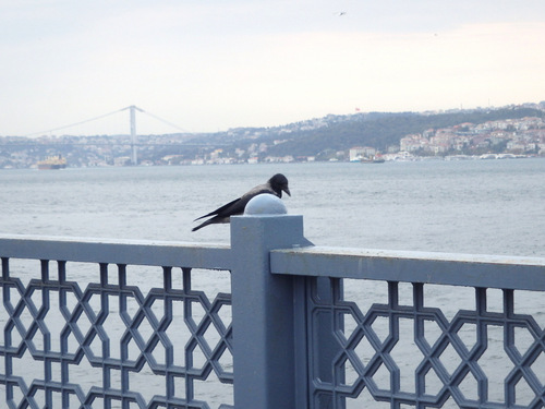 Istanbul.