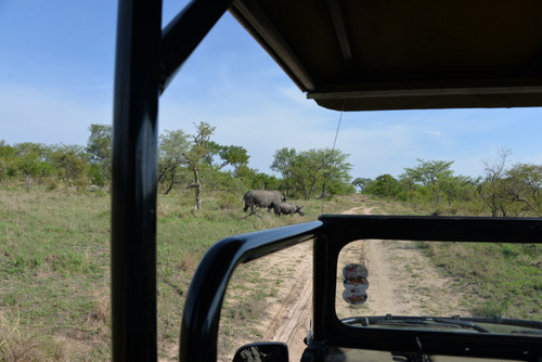 We're waiting for the Rhinoceros to clear the roadway.