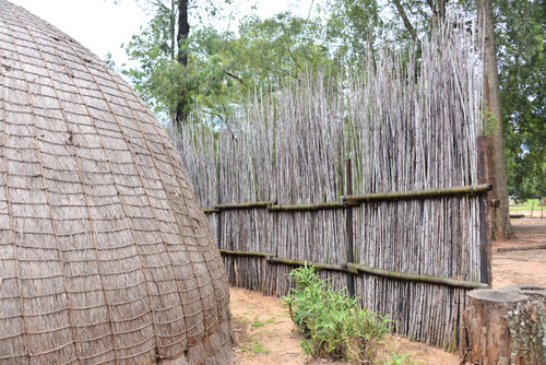 Thatching Details.