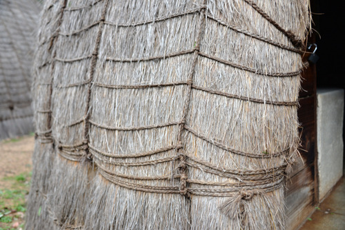 Thatching Details.