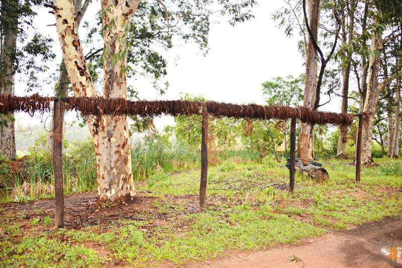 Hundreds of Snares and Animal Traps.