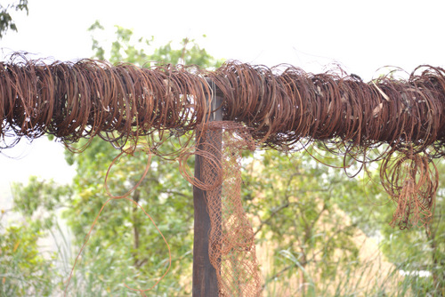 A closeup of some the snares and traps.