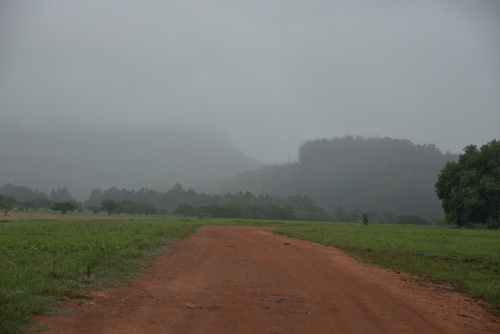 A view of our road as we are driving away.