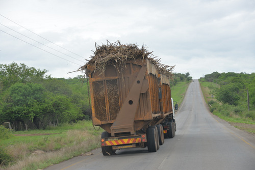 Sugar Cane Truck.