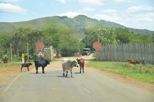 The entrance to Hluhluwe National Park.