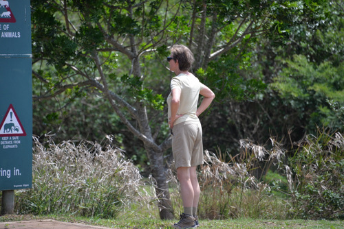 Terry is watching the baby warthogs play and run.