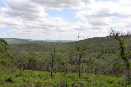 Hluhluwe NP Landscape.