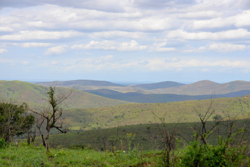 Hluhluwe NP Landscape.