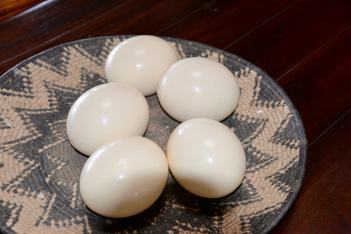 Ostrich Eggs in Native Basket.