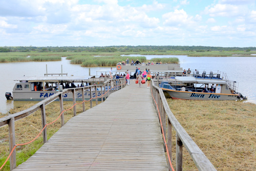 Tour Boats at the ready.