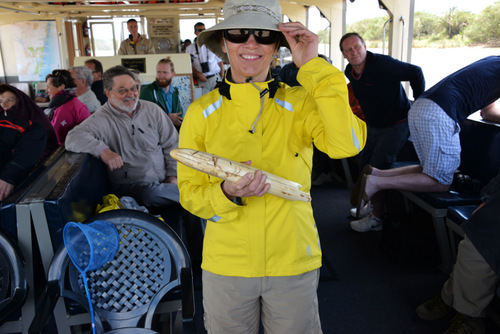 Terry Struck displays a Hippopotamus Tooth.