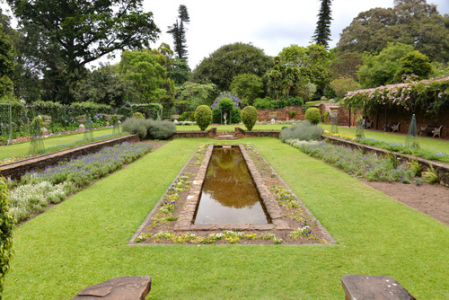 Durban Botanical Gardens.