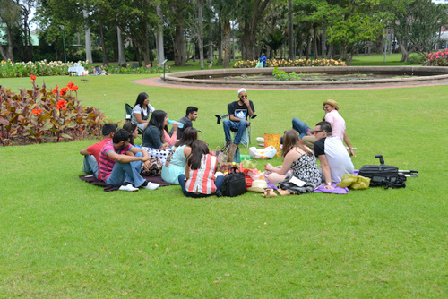 Durban Botanical Gardens.