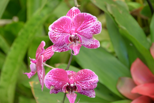 Durban Botanical Gardens.