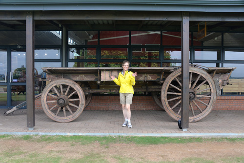 Flat Bed Horse Wagon.