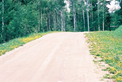 The Dandylion Road.