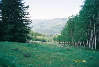 Arapahoe NF, Camp View.