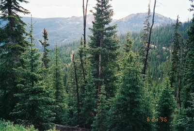 Arapahoe NF, Back Trail.