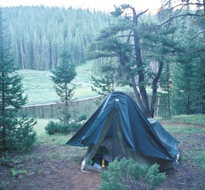 Arapahoe NF, Colorado.