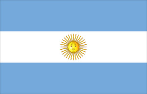 Official Flag of Argentina, Government