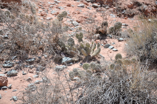 The Seven Colors Hiking Trail.