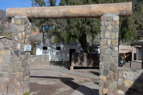 The timber is a Pasacana Cactus Carcass.