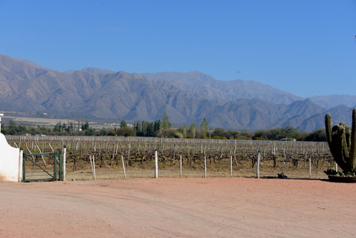 An overview of one (of many) of the fields.