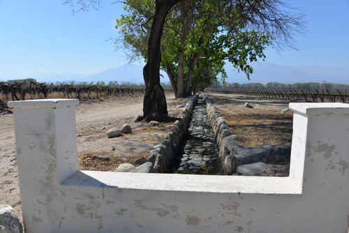 Irrigation ditch for the Vines of the vinyard.