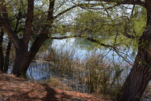 A creek pond helps with water management.