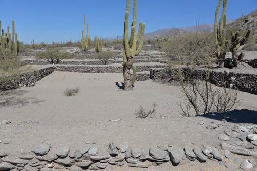 Ruinas de los Quilmes.