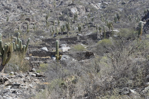 Ruinas de los Quilmes.